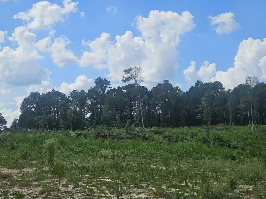 34 Ac Longview Dr, Ellisville, MS 39437 - #3