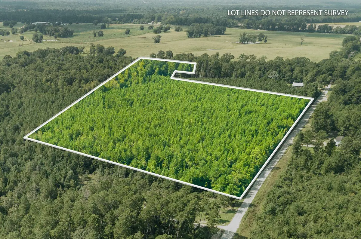 00 Washington Trail, Bassfield, MS 39421 - #1