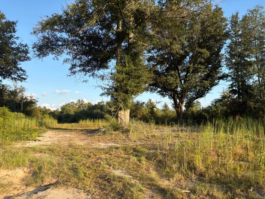 000 Sawmill, Sandy Hook, MS 39478 - #3