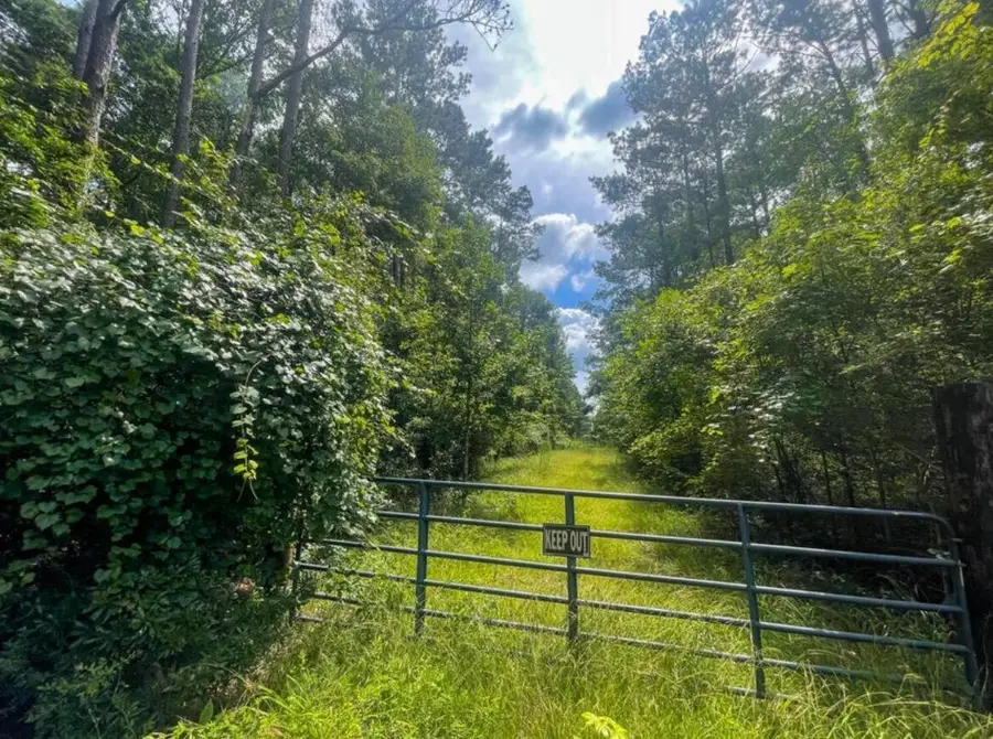 40 Deer Meadow, Sumrall, MS 39482 - #3