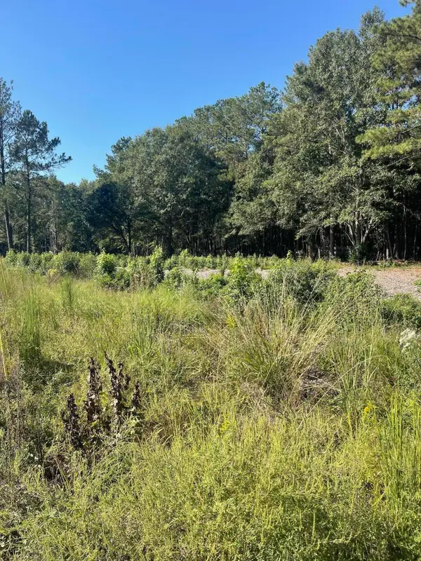 8 ac +- Lincoln Road Ext., Hattiesburg, MS 39402