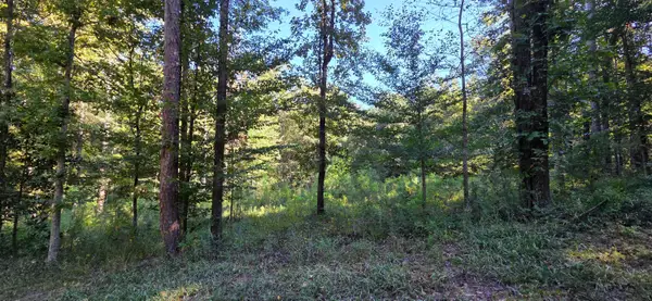5 Pheasant Ridge, Petal, MS 39465