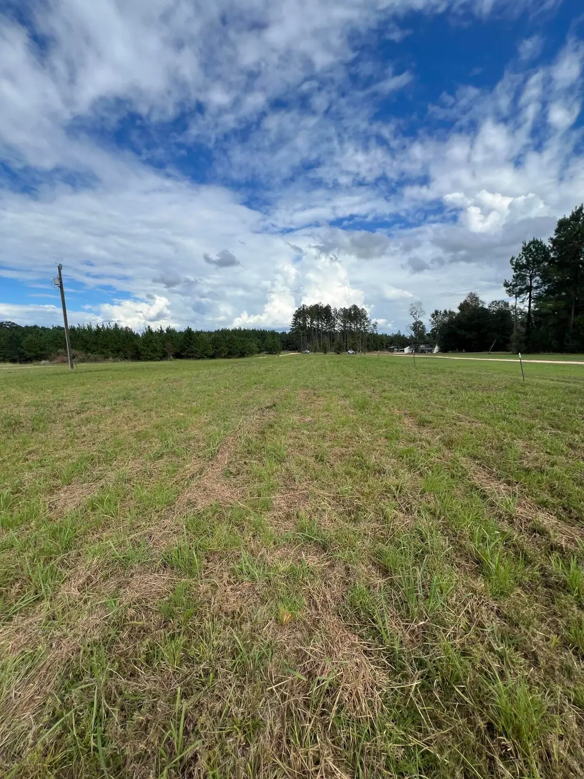 18 Blackbird Ln., Petal, MS 39465 - #1