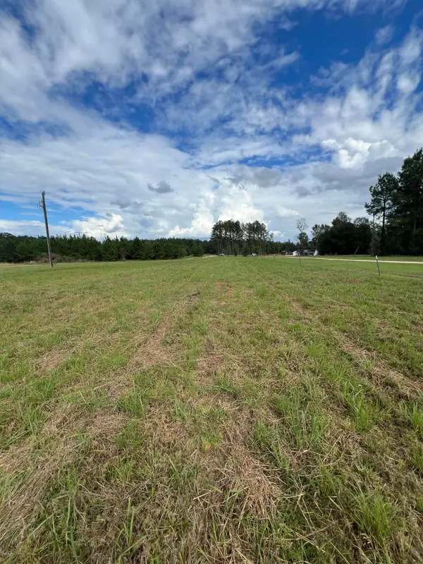 18 Blackbird Ln., Petal, MS 39465