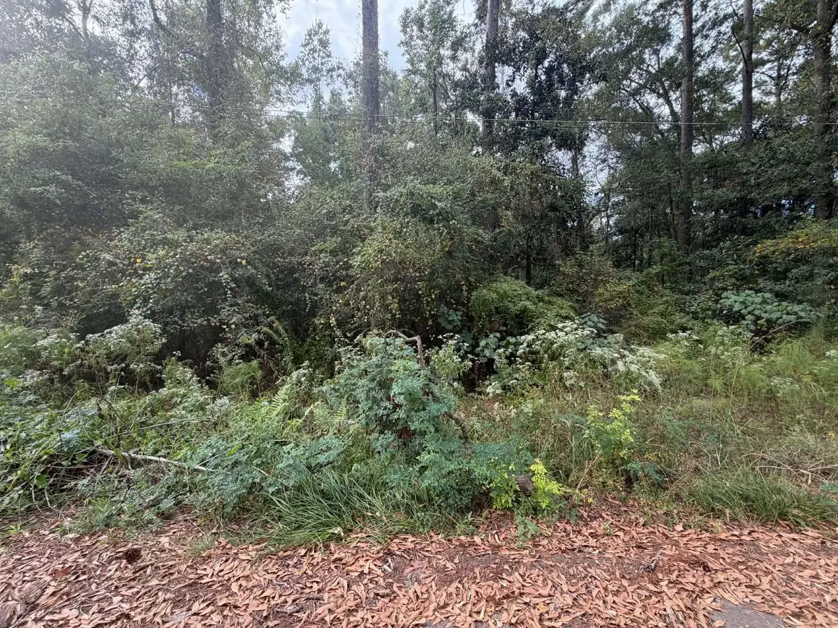 0 Webb St., Ellisville, MS 39437 - #1