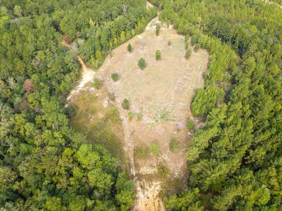 420 Old Highway 49w, Hattiesburg, MS 39401 - #2