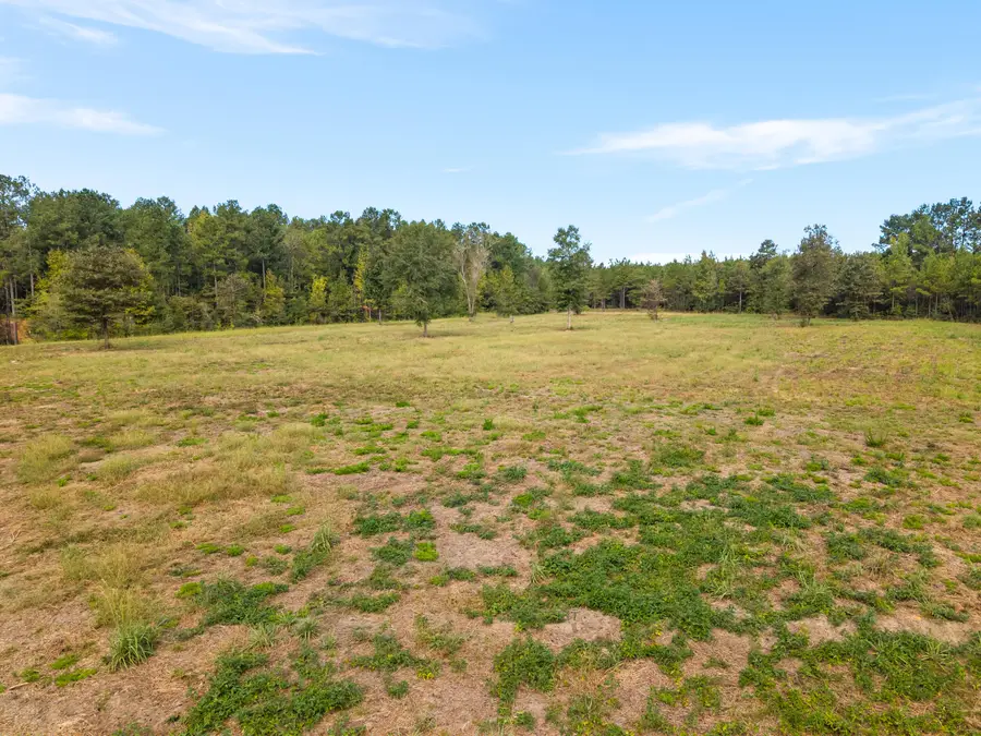 420 Old Highway 49w, Hattiesburg, MS 39401 - #3