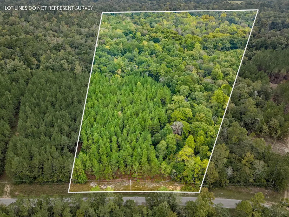 13 Acres Lott Town Rd., Hattiesburg, MS 39402 - #1