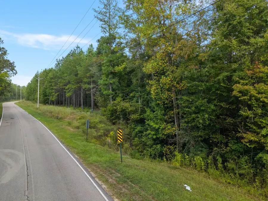 13 Acres Lott Town Rd., Hattiesburg, MS 39402 - #2