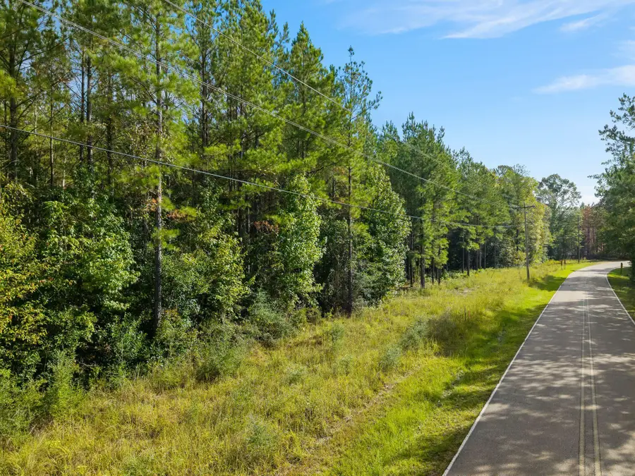 13 Acres Lott Town Rd., Hattiesburg, MS 39402 - #3