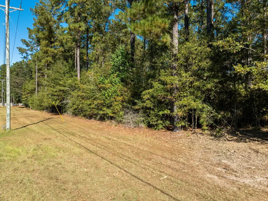 Lot 2 Cole, Hattiesburg, MS 39402 - #3
