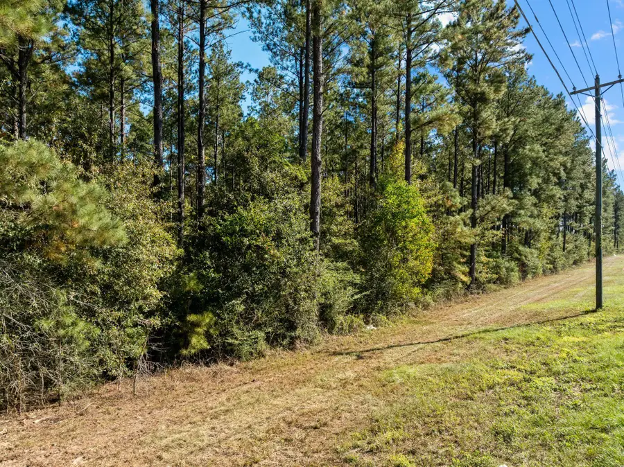 Lot 5 Cole Rd., Hattiesburg, MS 39402 - #3