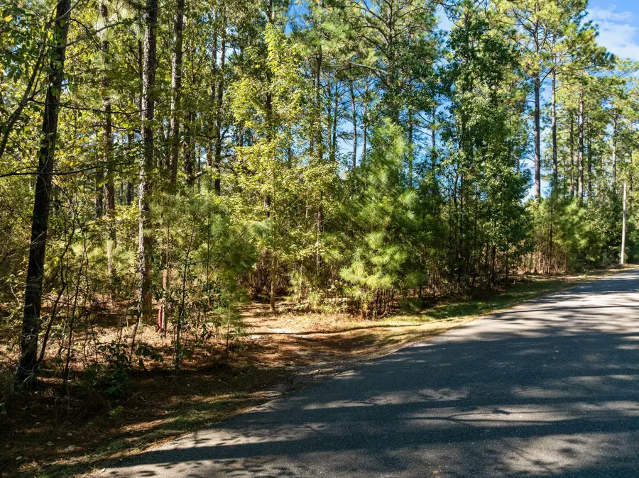 Lot 9 Sandy Hook, Hattiesburg, MS 39402 - #2