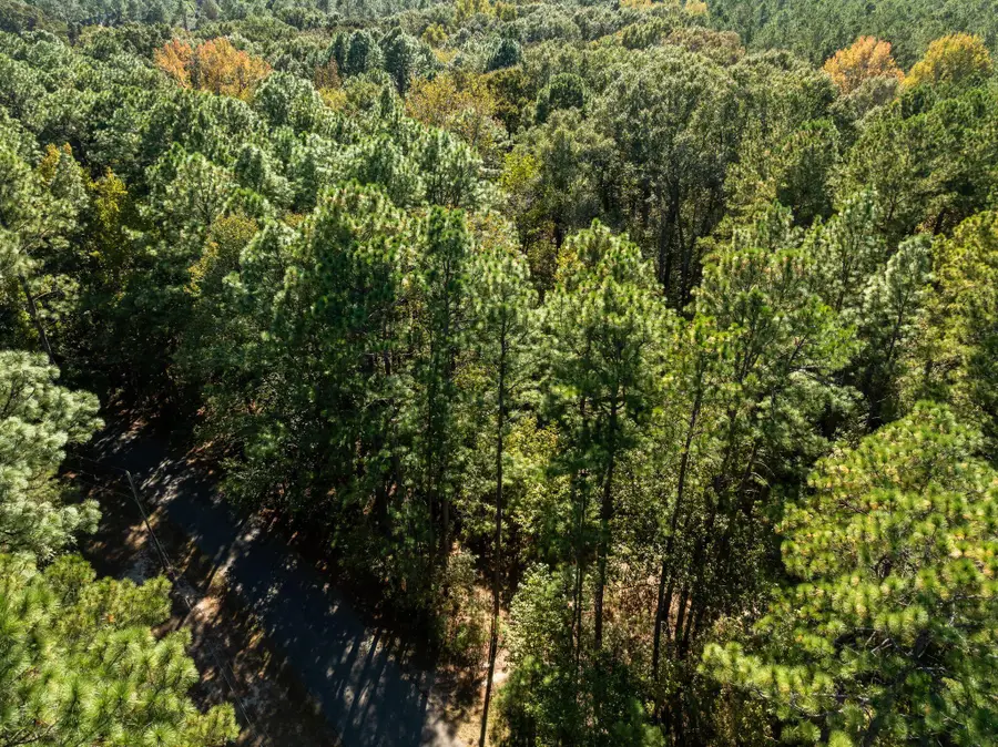 Lot 9 Sandy Hook, Hattiesburg, MS 39402 - #3