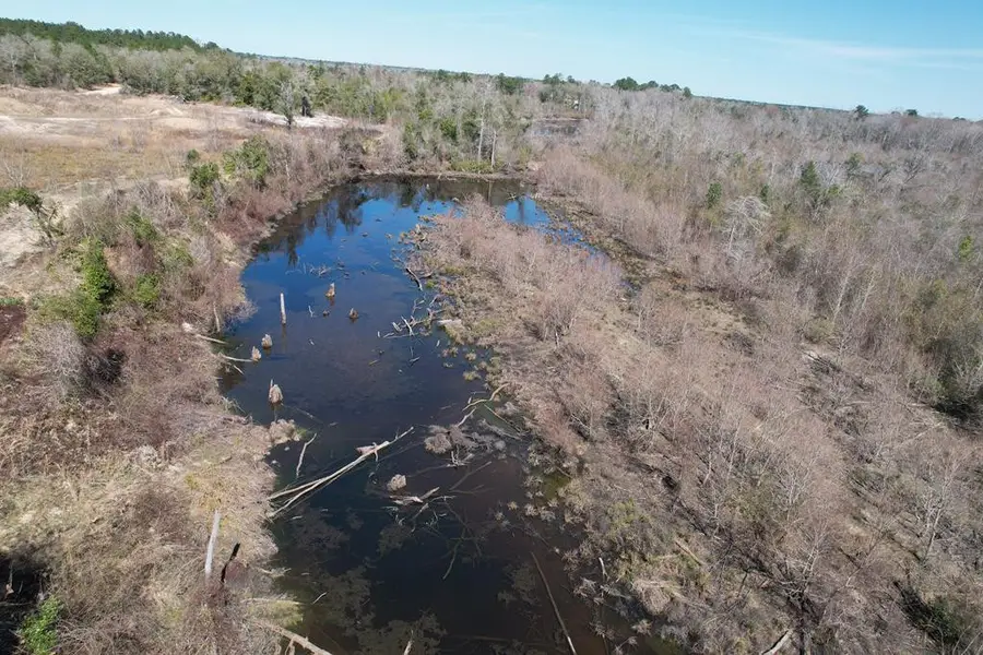 226 Blue Lake Road, Petal, MS 39465 - #2