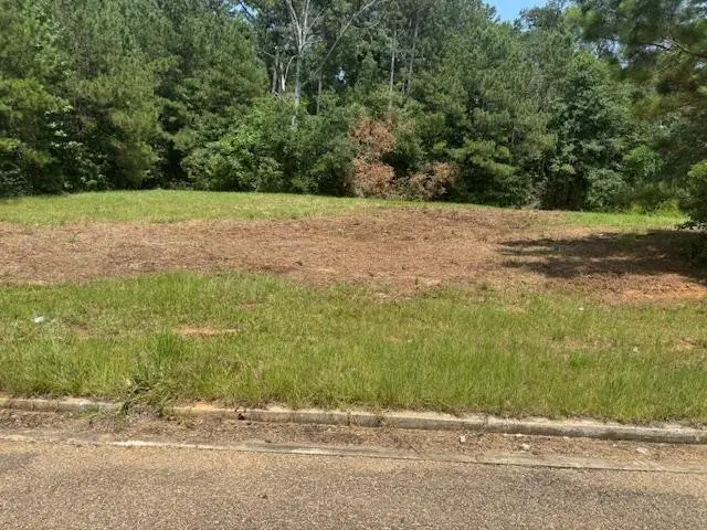 Lot 3 Business Center Drive, McComb, MS 39648 - #1