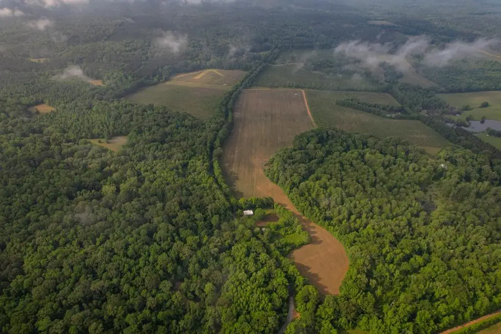1017 Insemore Road, Hermanville, MS 39086 - #1