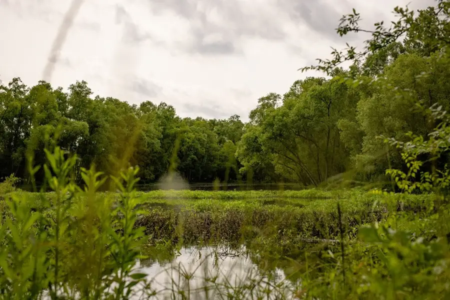 1017 Insemore Road, Hermanville, MS 39086 - #2