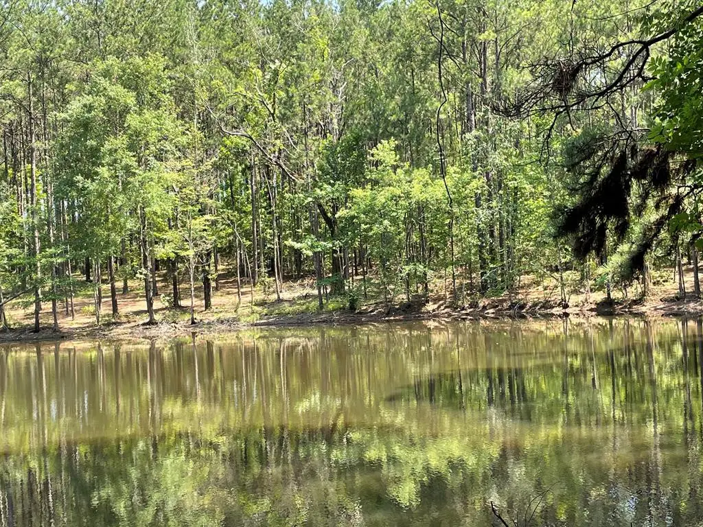 Na Reservoir Road, Waynesboro, MS 39367 - #1