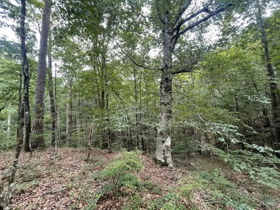 0 Antioch Road, Hazlehurst, MS 39083 - #2