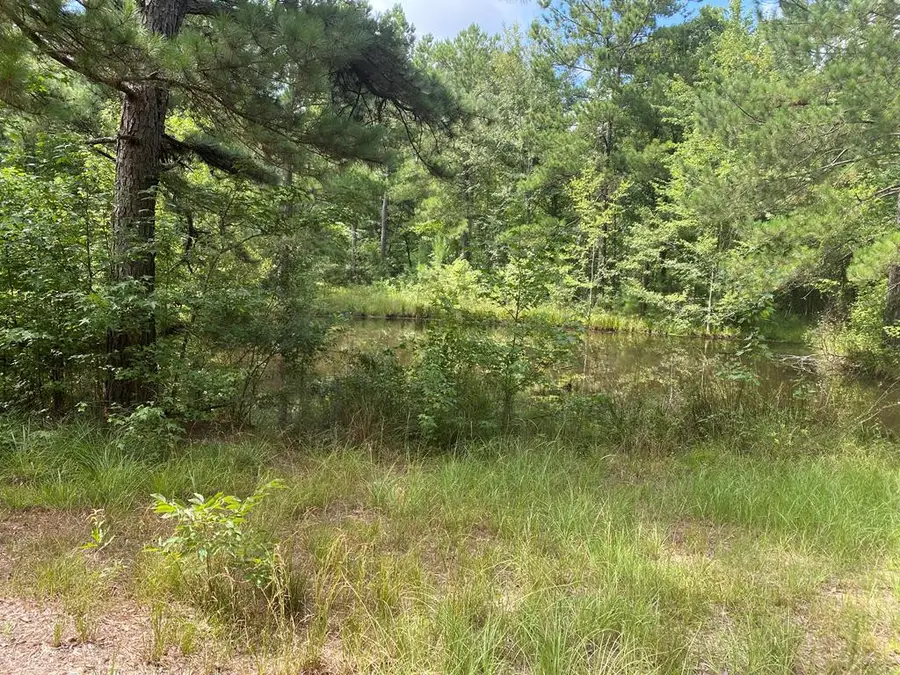 2697 River Road, Silver Creek, MS 39663 - Image #3