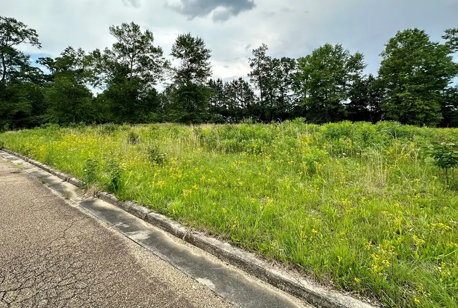 Lot 15 Business Center Drive, McComb, MS 39648 - Image #3