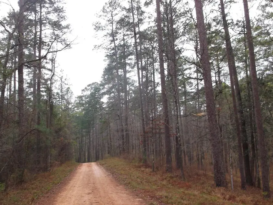 104 Homochitto National Forre Street, Meadville, MS 39653 - #3