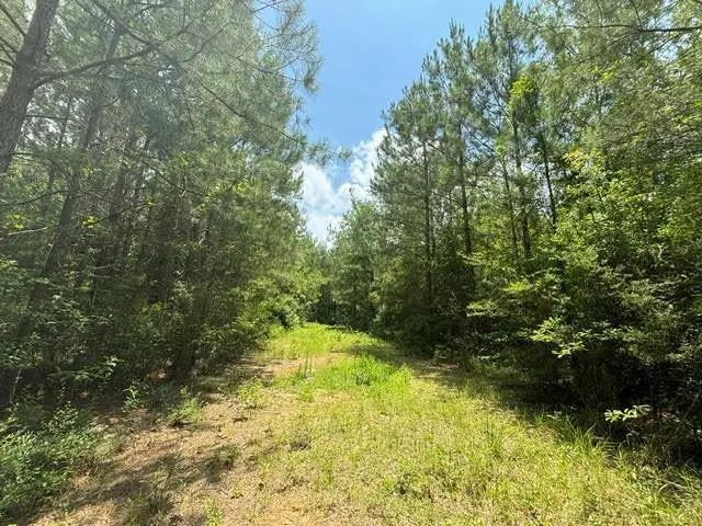 000 E Lewiston Road, City Unavailable, LA 70444 - #1