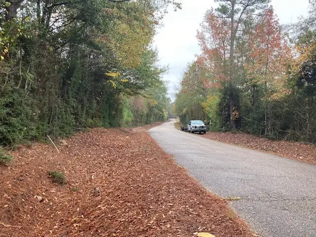 000 E Lewiston Road, City Unavailable, LA 70444 - #3