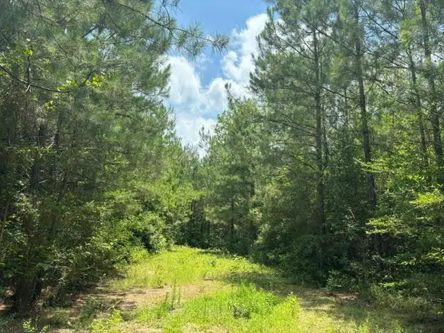 000 E Lewiston Road, City Unavailable, LA 70444 - #1
