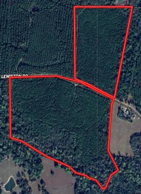 000 E Lewiston Road, City Unavailable, LA 70444 - #2