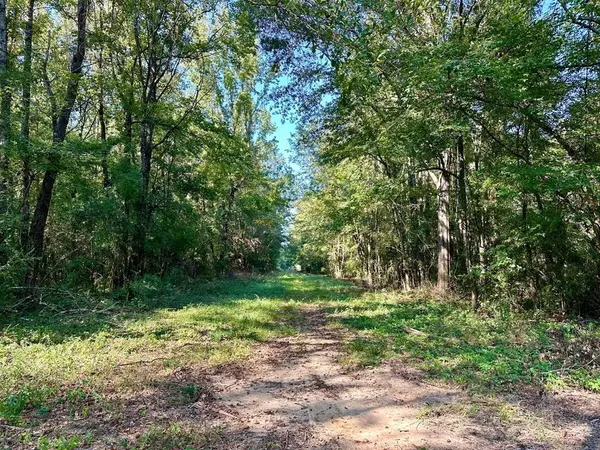 Tbd Williams Street, Brookhaven, MS 39601