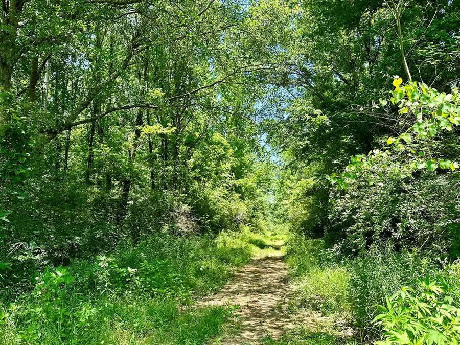 Tbd Williams Street, Brookhaven, MS 39601 - Image #2