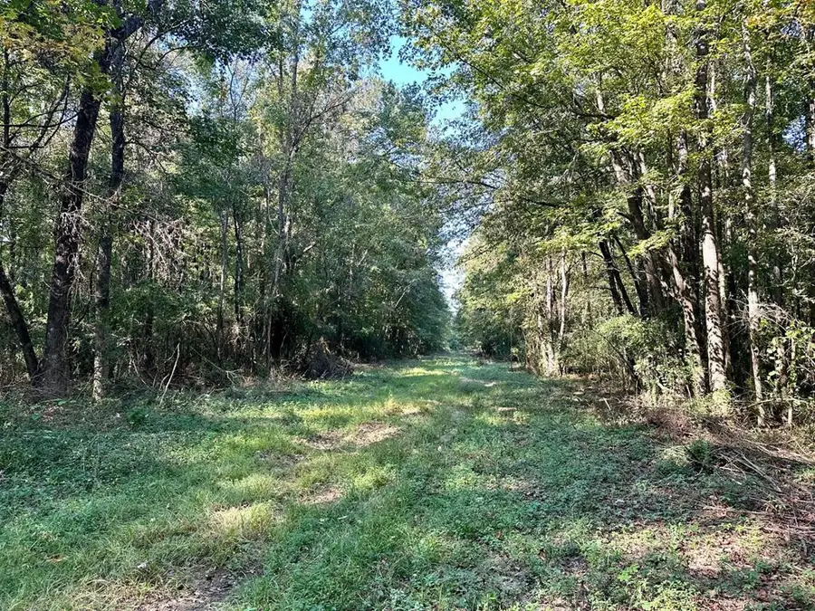 Tbd Williams Street, Brookhaven, MS 39601 - Image #3