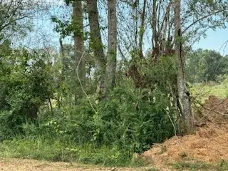 TBD Daughdrill, Bogue Chitto, MS 39629 - #2