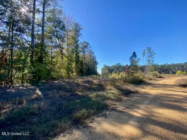 0 Robert Jones Road, Summit, MS 39666 - Image #2