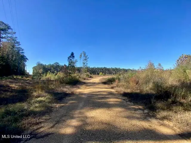 0 Robert Jones Road, Summit, MS 39666 - Image #3