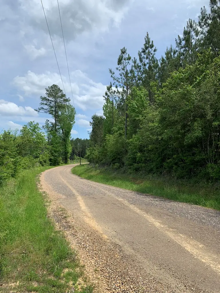 . Shucktown Rd Or Old Cc Road, McCall Creek, MS 39647 - #3