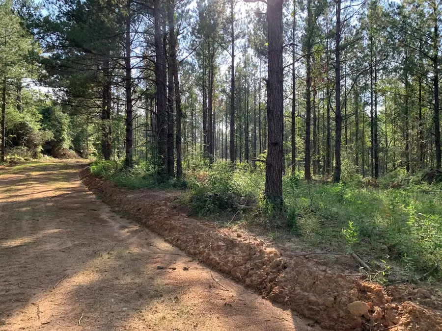 . Givens Mullins Road, Monticello, MS 39654 - Image #2