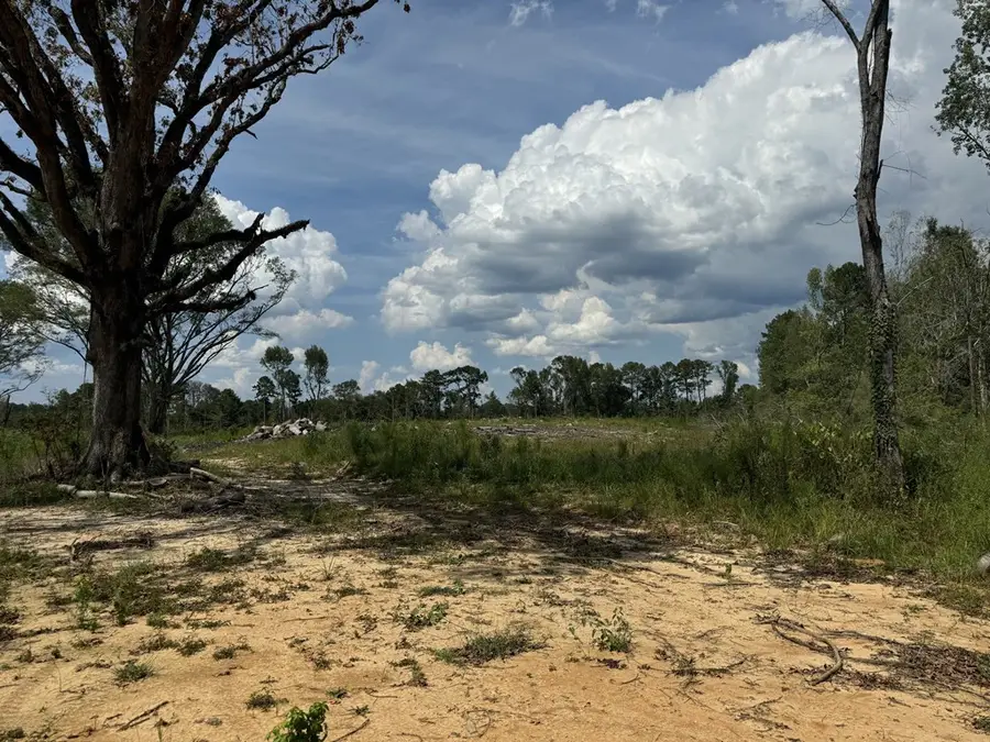 0 Busy Corner Road, Gloster, MS 39638 - Image #3