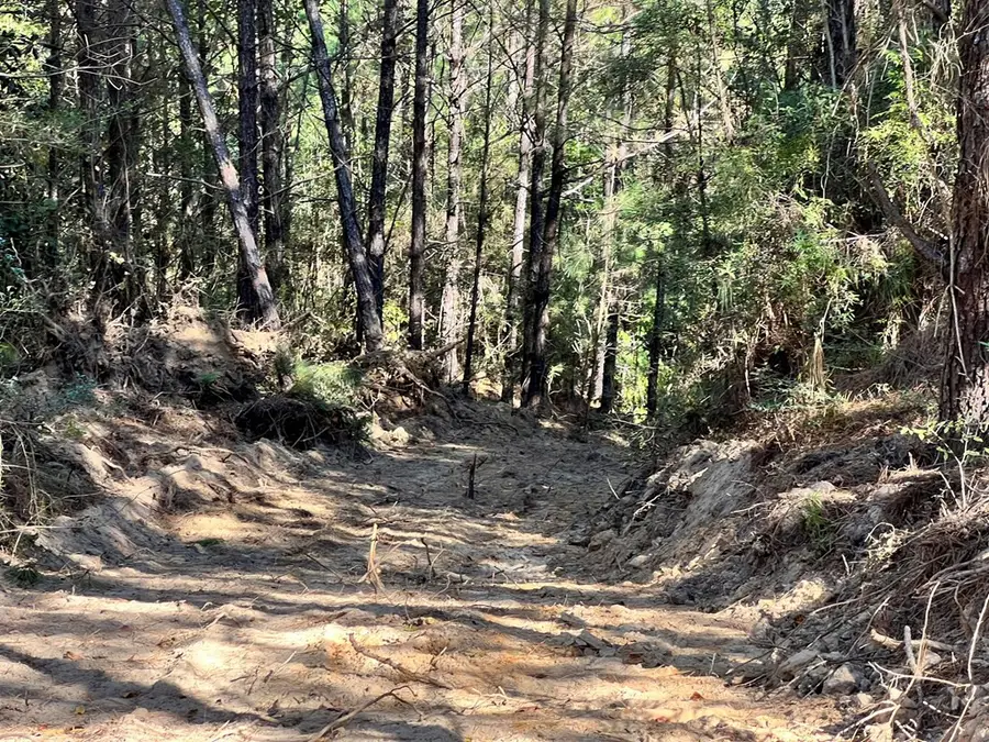 - Airport Lane, Crosby, MS 39633 - #2