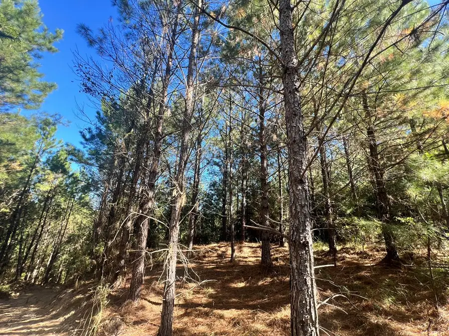 - Airport Lane, Crosby, MS 39633 - #3