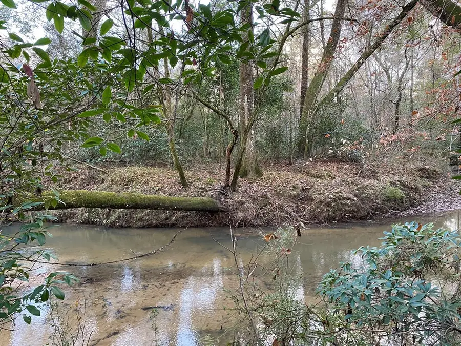 TBD Ms-568, Osyka, MS 39657 - Image #2