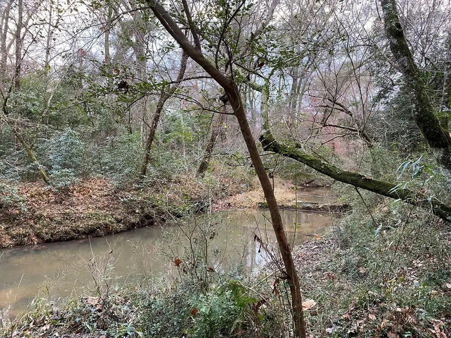 TBD Ms-568, Osyka, MS 39657 - Image #3