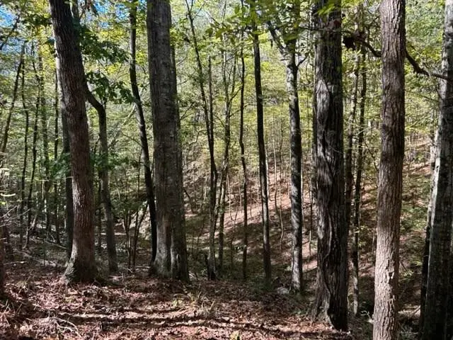 TBD Highway 550, Union Church, MS 39668 - #1