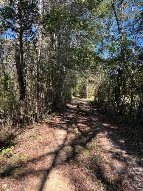 TBD Highway 550, Union Church, MS 39668 - #2