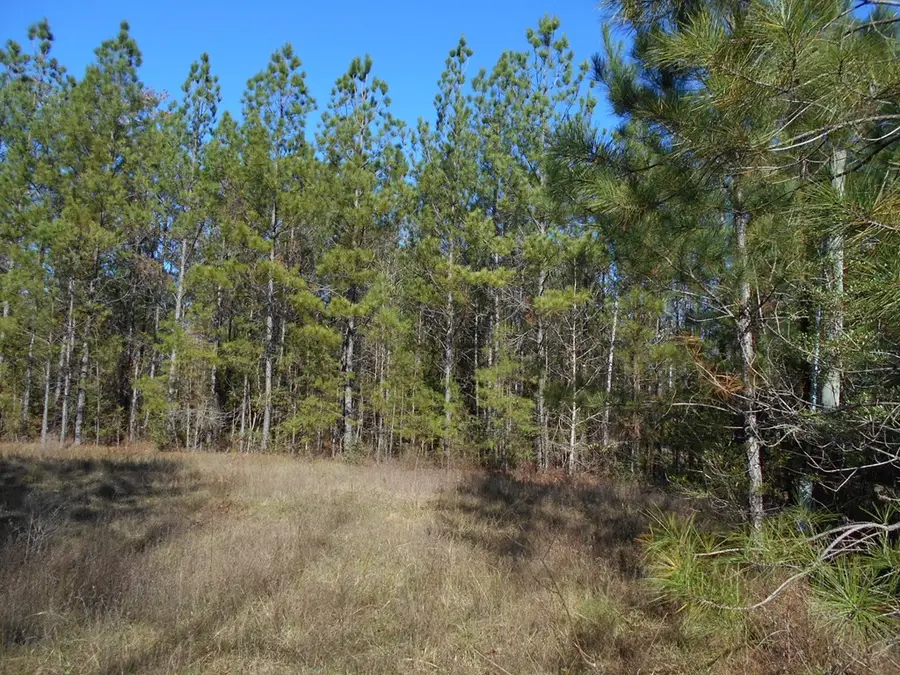 00 Rockport New Hebron Road, Newhebron, MS 39140 - Image #3