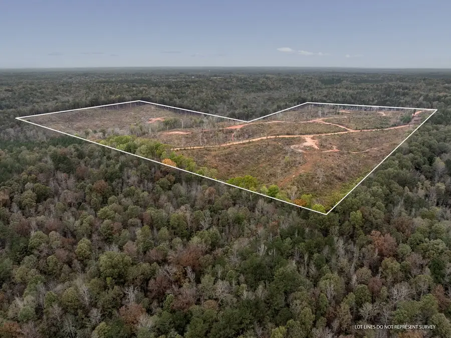 Lot 1 Guy Parham Lane, Amory, MS 38821 - #3