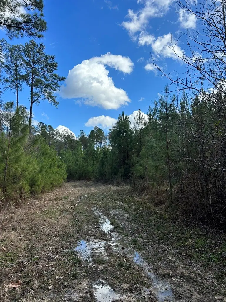 . Dennis Cross, Fayette, MS 39069 - #3