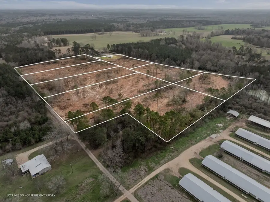 4 Fulgham Road, Tylertown, MS 39667 - #2
